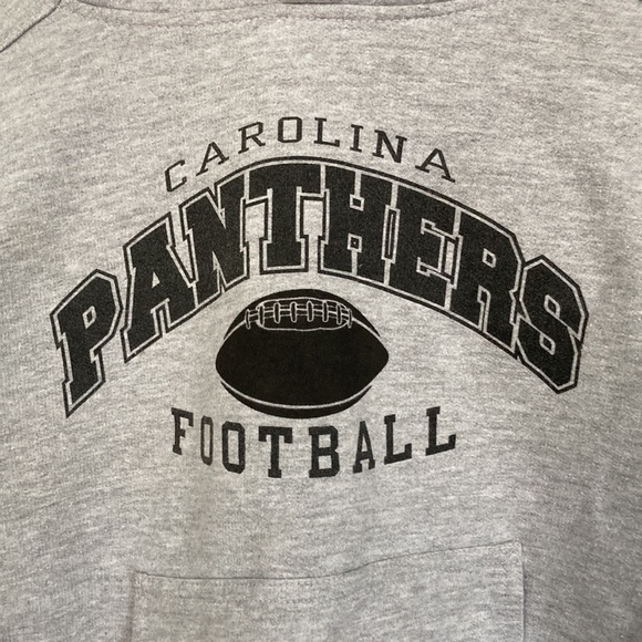 Carolina Panthers NFL Hoodie Sz Large!! - Picture 2 of 4